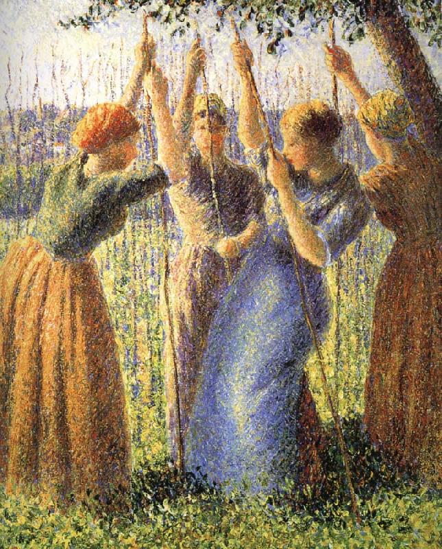 Camille Pissarro Planting scenes oil painting picture